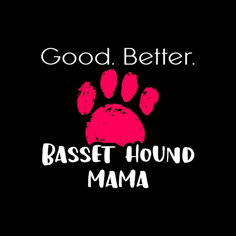 Basset Hound