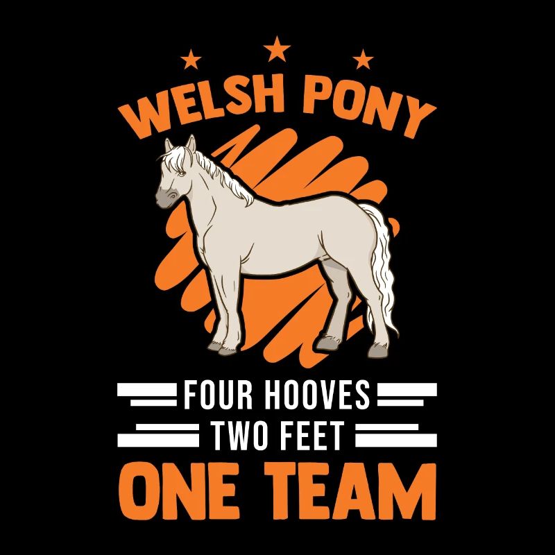 Welsh Pony 4 sabots 2 pattes Une équipe