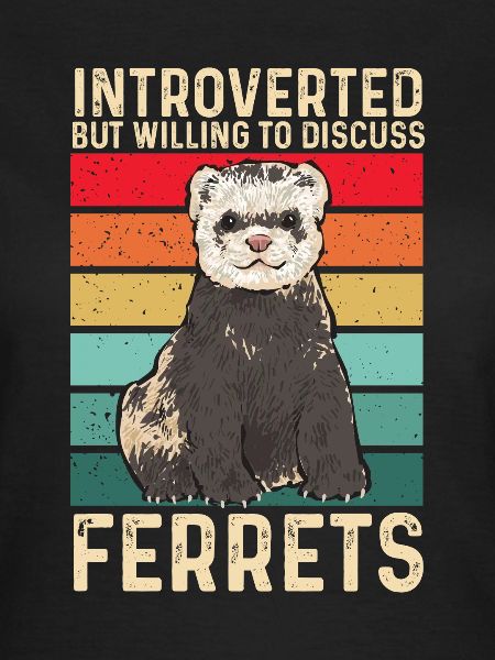 Furet, propriétaire de furet