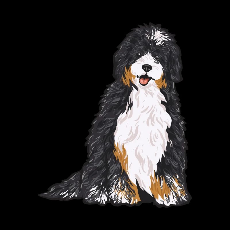 Bernedoodle Hund