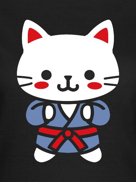 judo