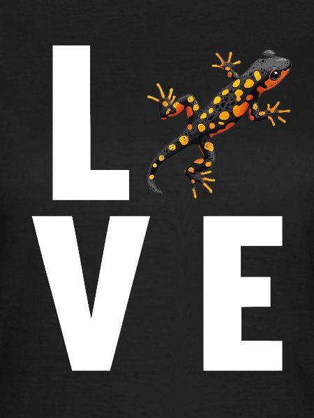 Salamanders Salamander
