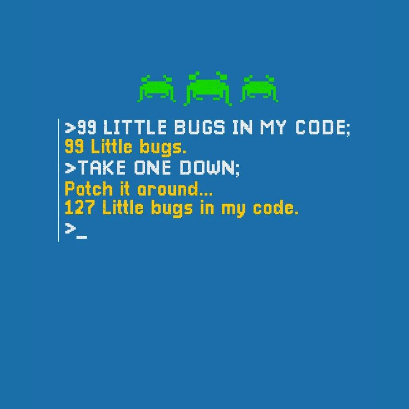 Programmeur 99 Programmation Little Bugs