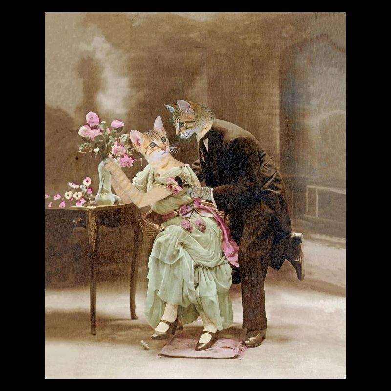 "Chats amoureux 1900, interrogeons les fleurs"