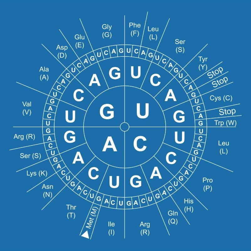 Code-Sun / Génétique / ADN / ADN / Biologie / Sciences