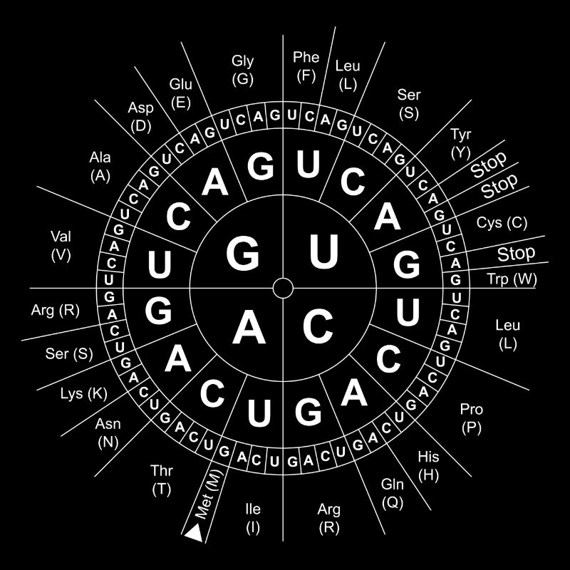 Code-Sun / Génétique / ADN / ADN / Biologie / Sciences