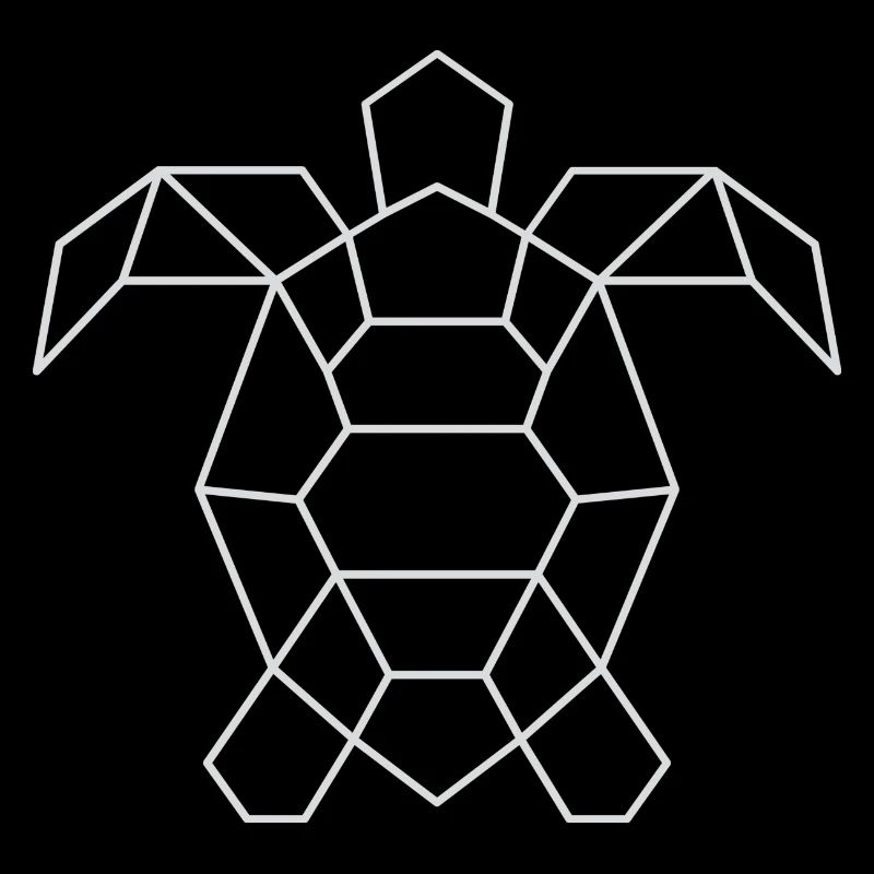 Essential unisex black turtle