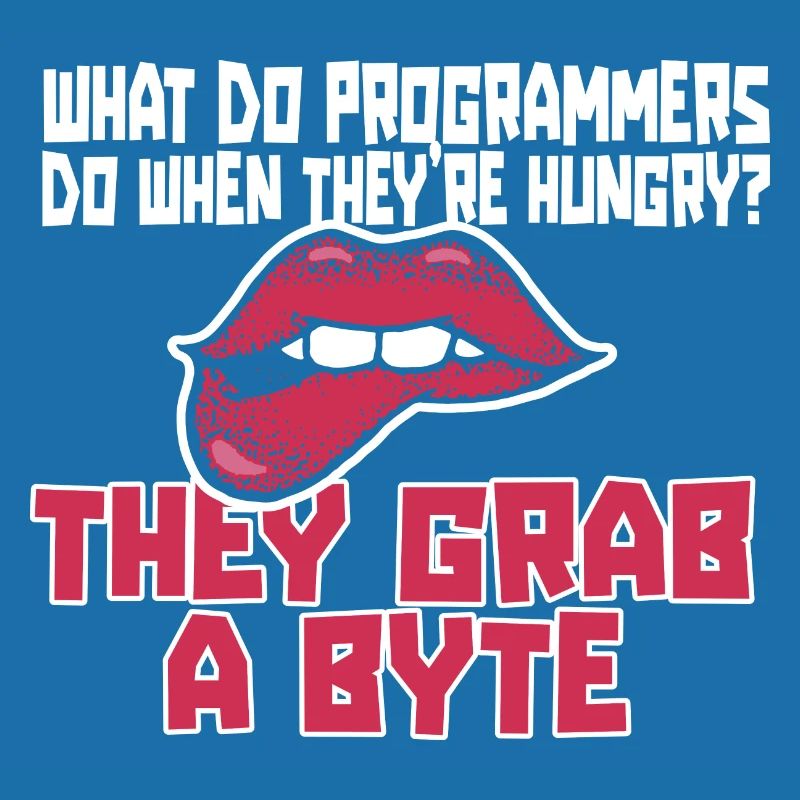 Programmer Coder Software Developer