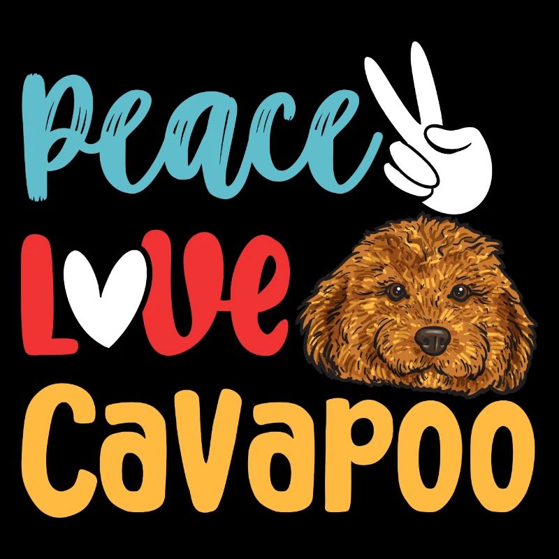 Cavapoo Cavoodle Capoodle Hund