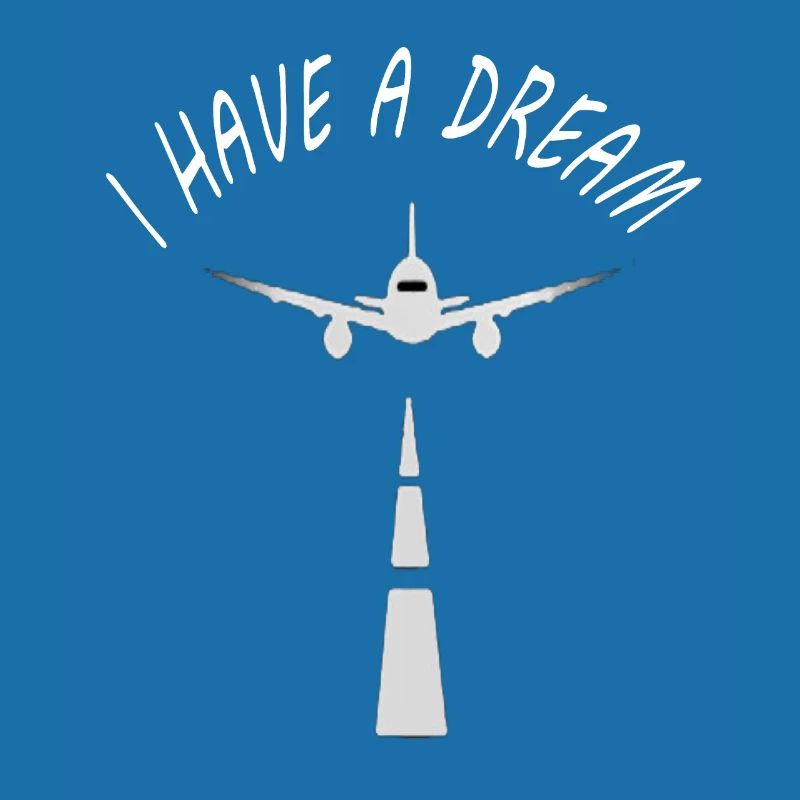 fly a plane