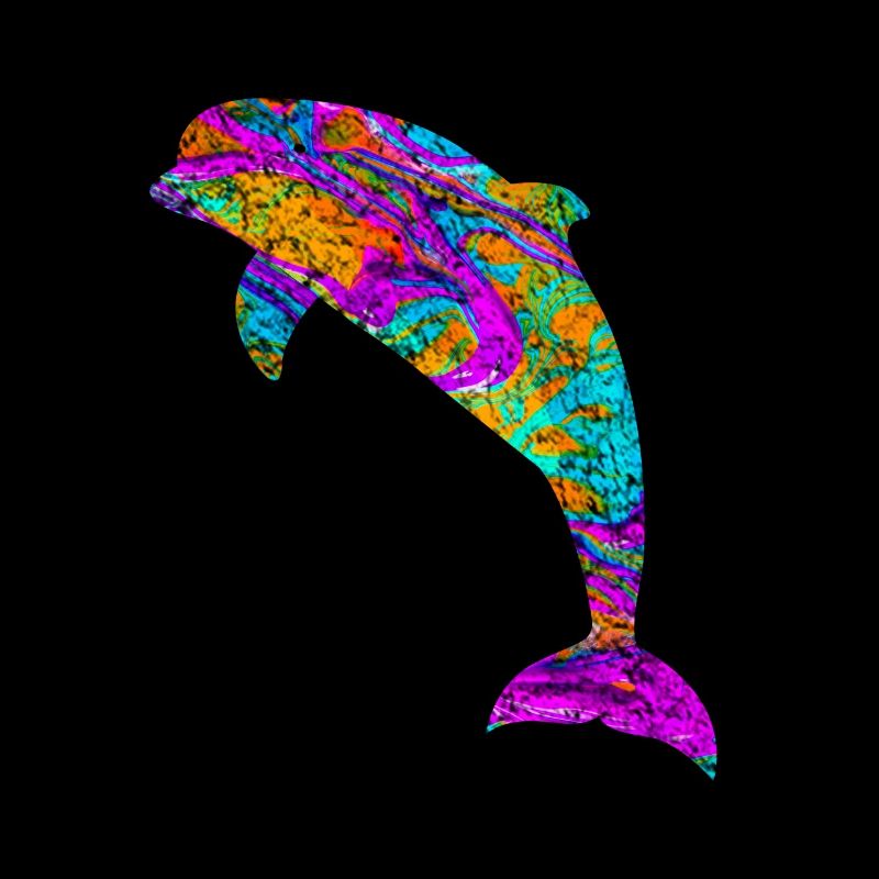 Dolphin gift aquatic mammal fish