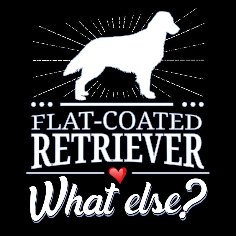 Flat-Coated Retriever quoi d'autre?