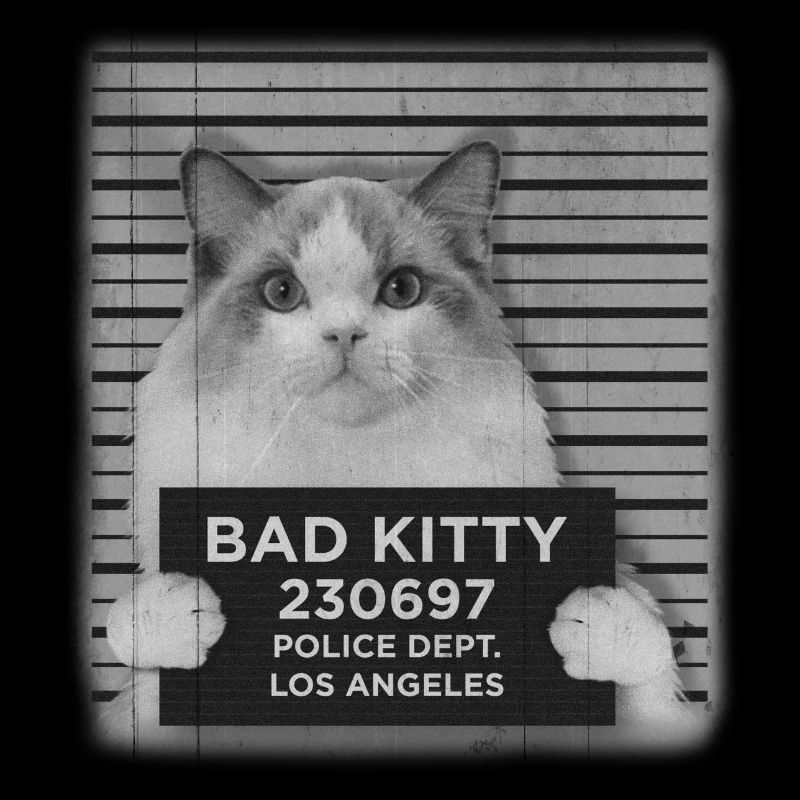 Bad Kitty Mug Shot - Photo du drapeau du chat Ragdoll