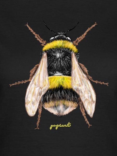 Hummel