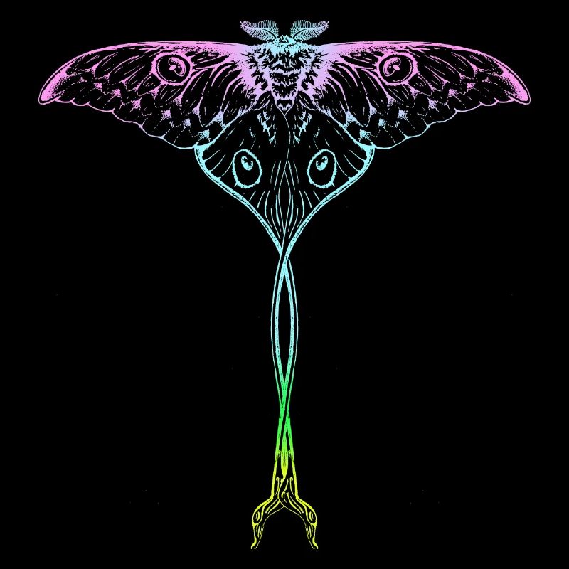 Comet Butterfly Butterfly