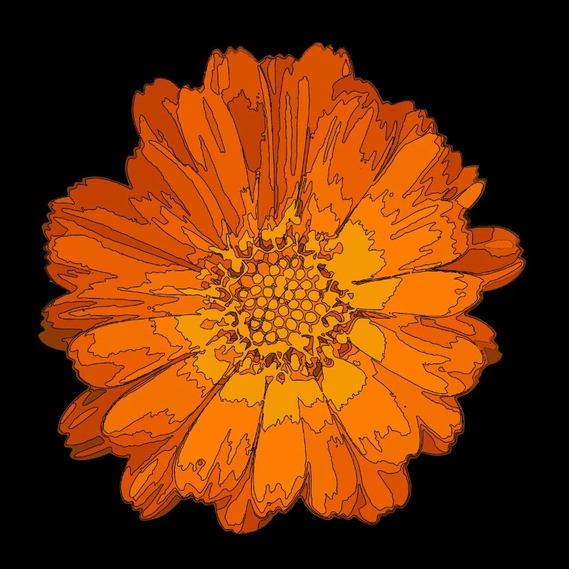 Calendula flower