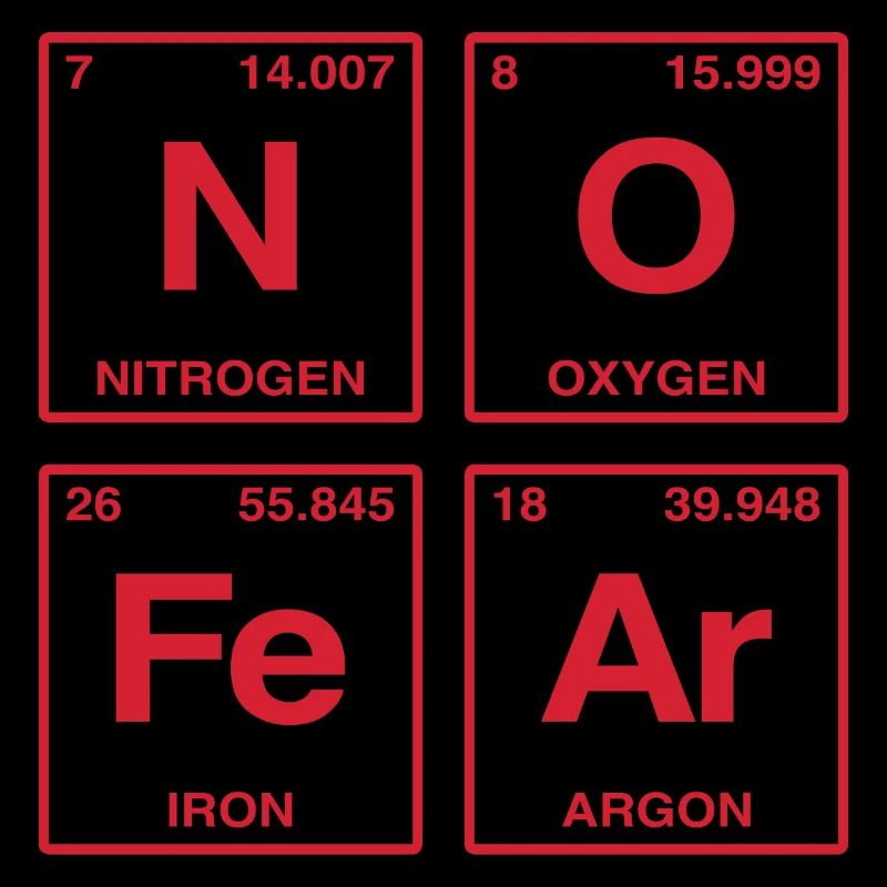 NO FEAR - with elements of the perdiode system