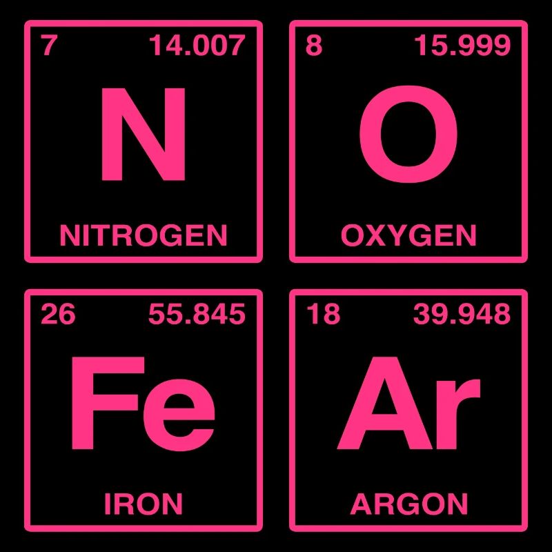NO FEAR - with elements of the perdiode system