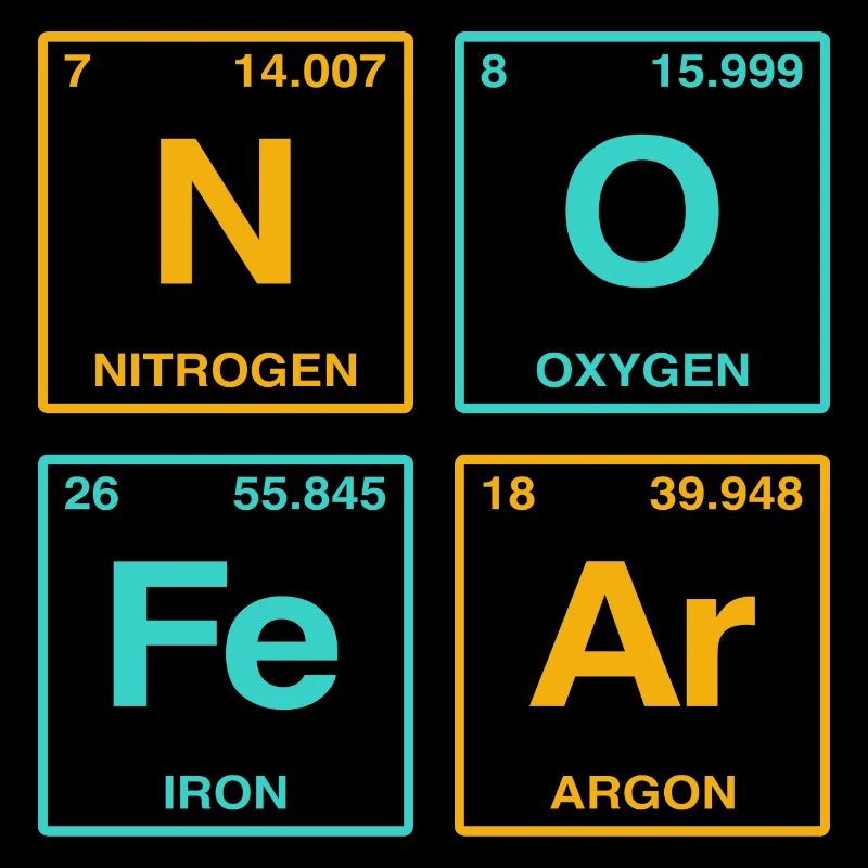 NO FEAR - with elements of the perdiode system