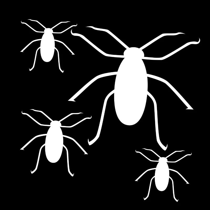 insectes