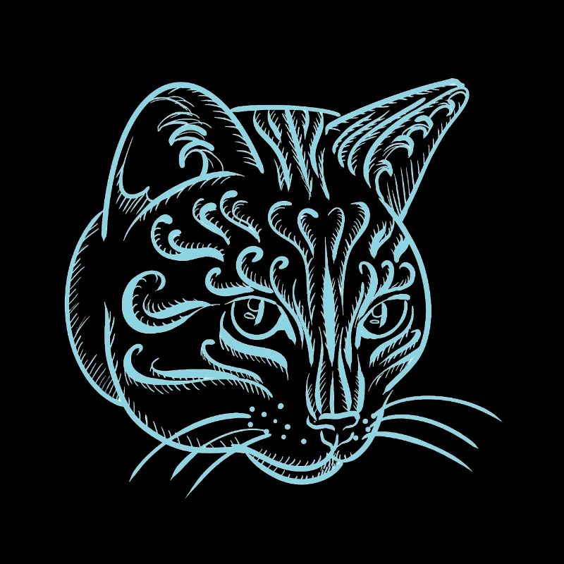 Katze
