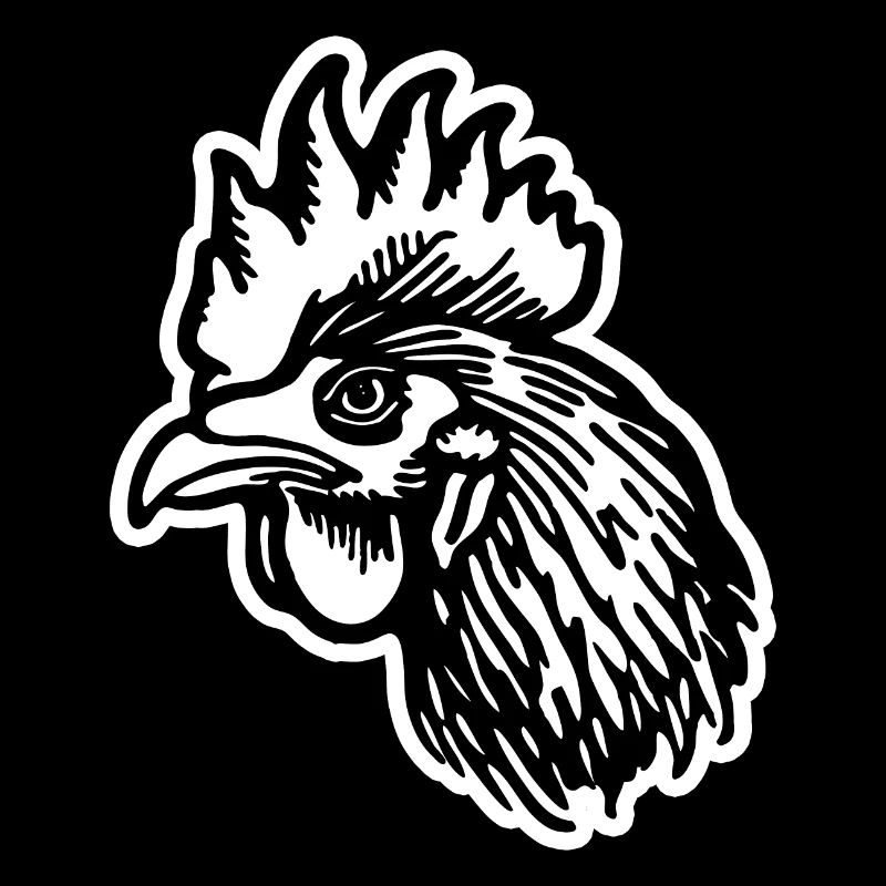 Chicken Chicken Coop