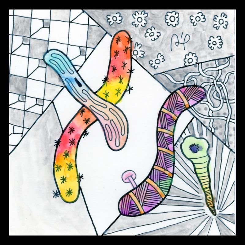 Confusion 1