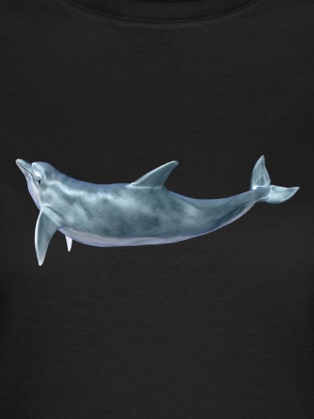 Delfin