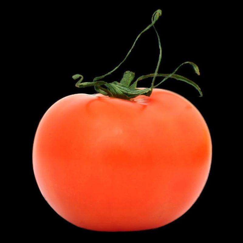 tomate