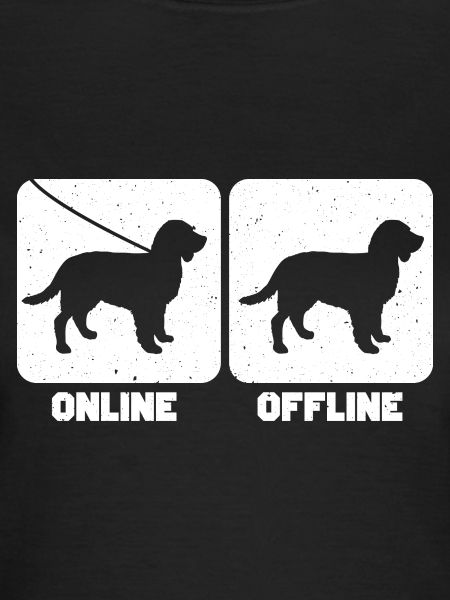 Boykin Spaniel