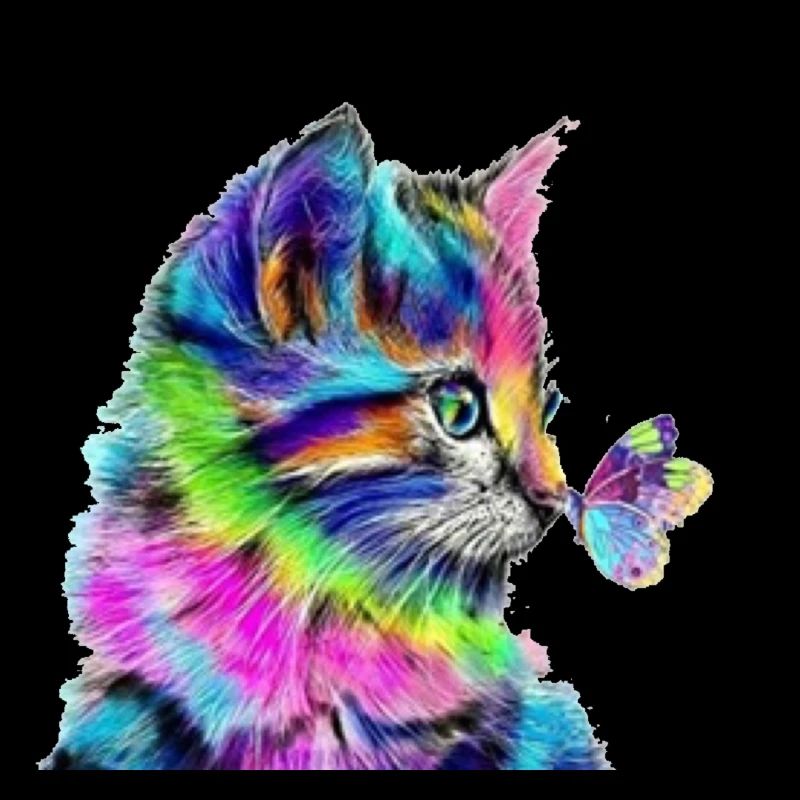 Chat bébé