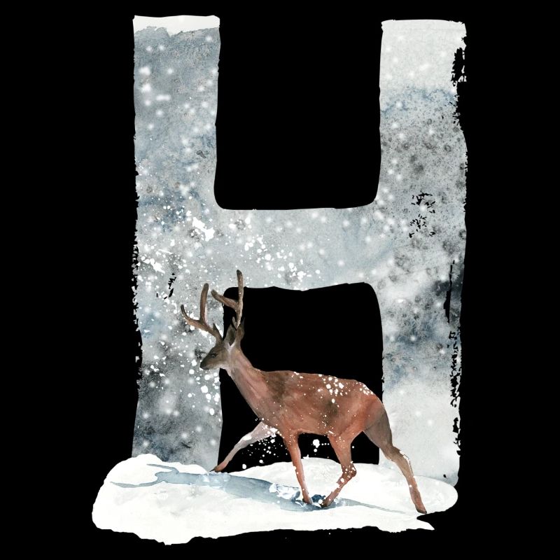 H – dekoratives Schriftzeichen – Winter