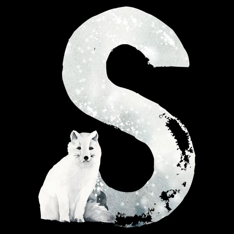 S – decorative character – winter