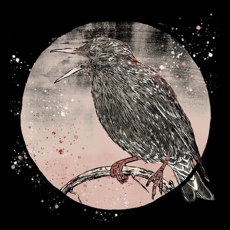 starling