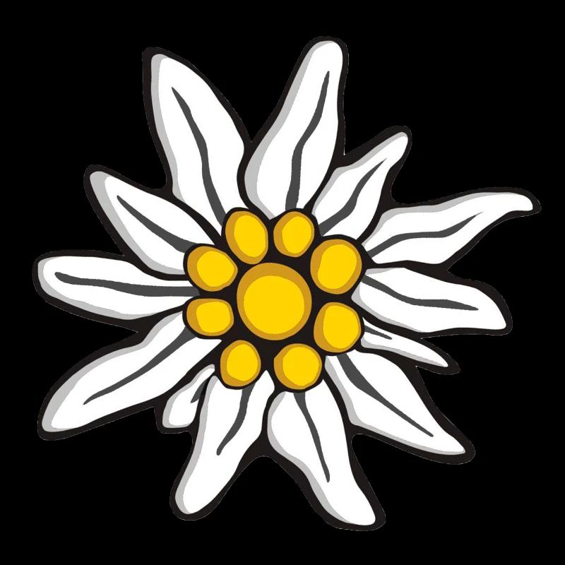 Edelweiss