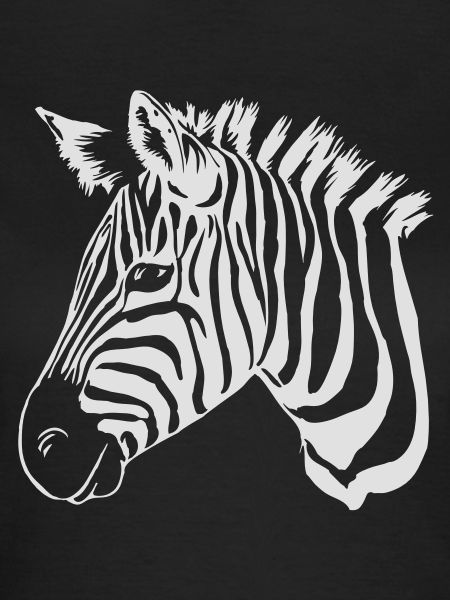 zebra light