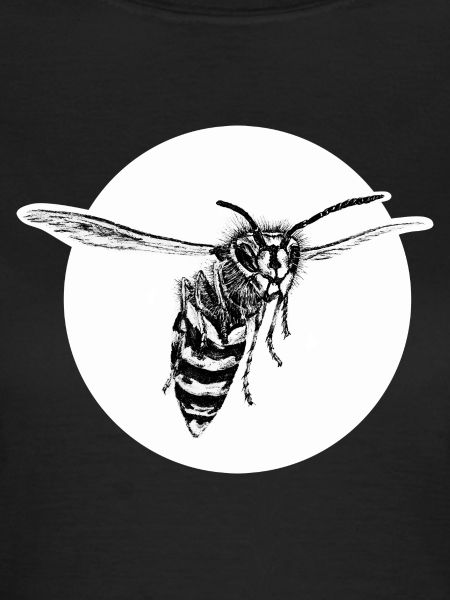 Wasp - Bee - Insect