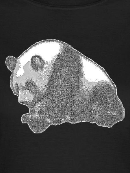 Panda big