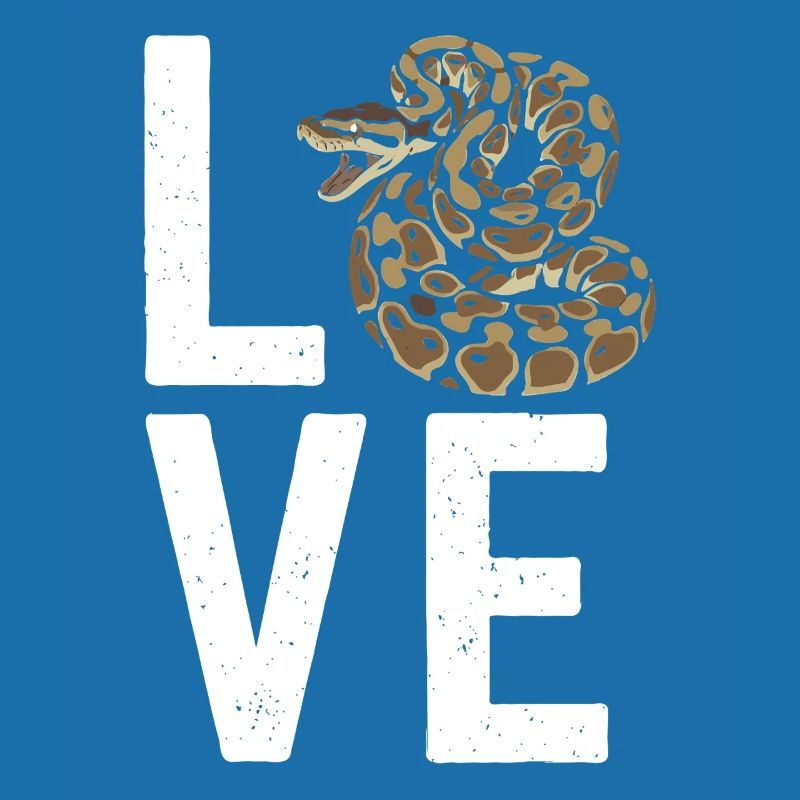 Königspython Schlangen LOVE Terrarium Python
