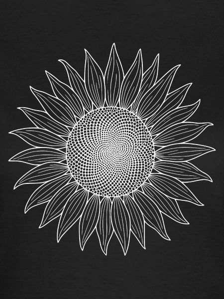 Sonnenblume