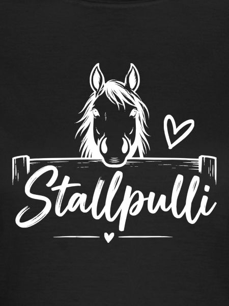 Stallpulli - Pferd - Reiterin - Stall - Pullover