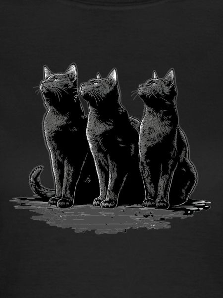 Katzen 