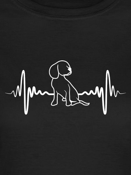 Cardiogramme chiot