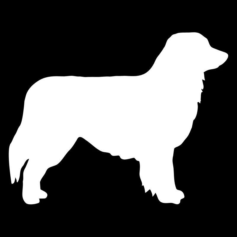 Australian Shepherd
