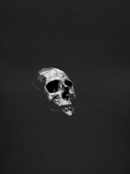 Ancient skull bone