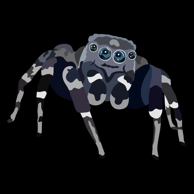 Araignée - araignée