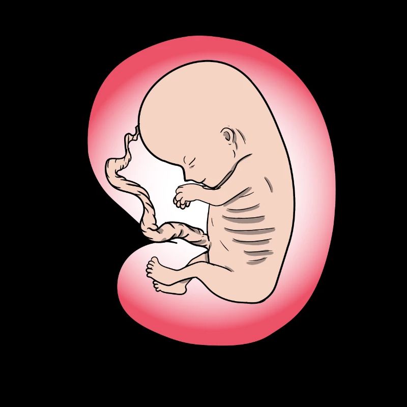 Embryon bébé naissance bébé ventre maman cadeau