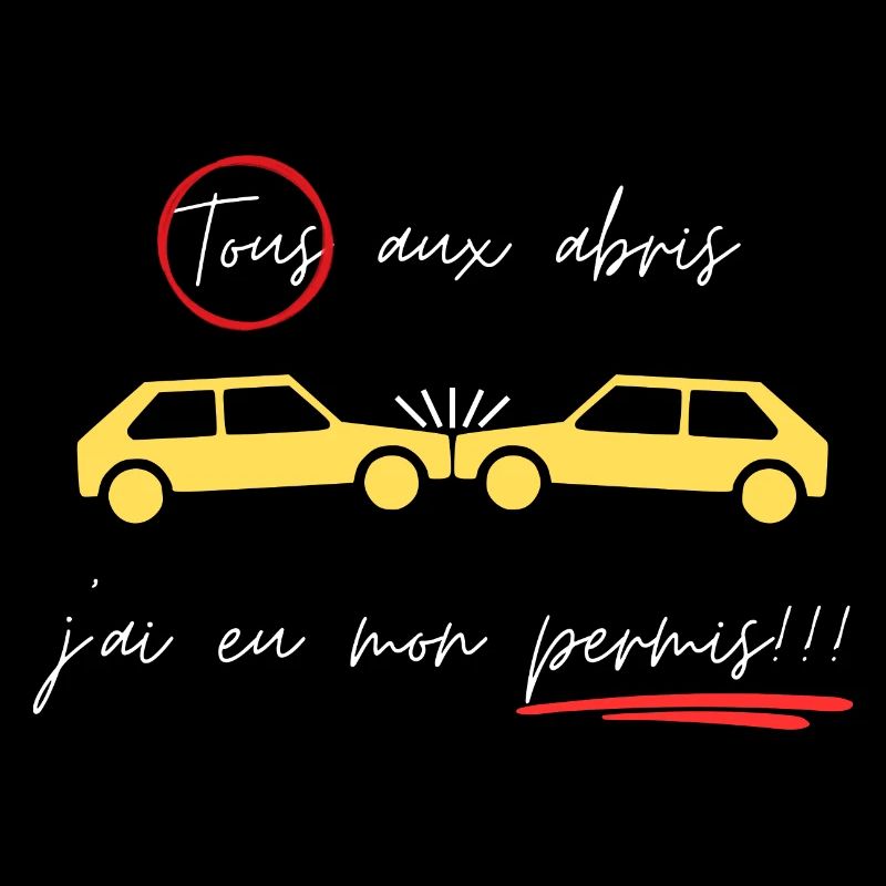 Tous aux abris, j'ai eu mon permis!!!