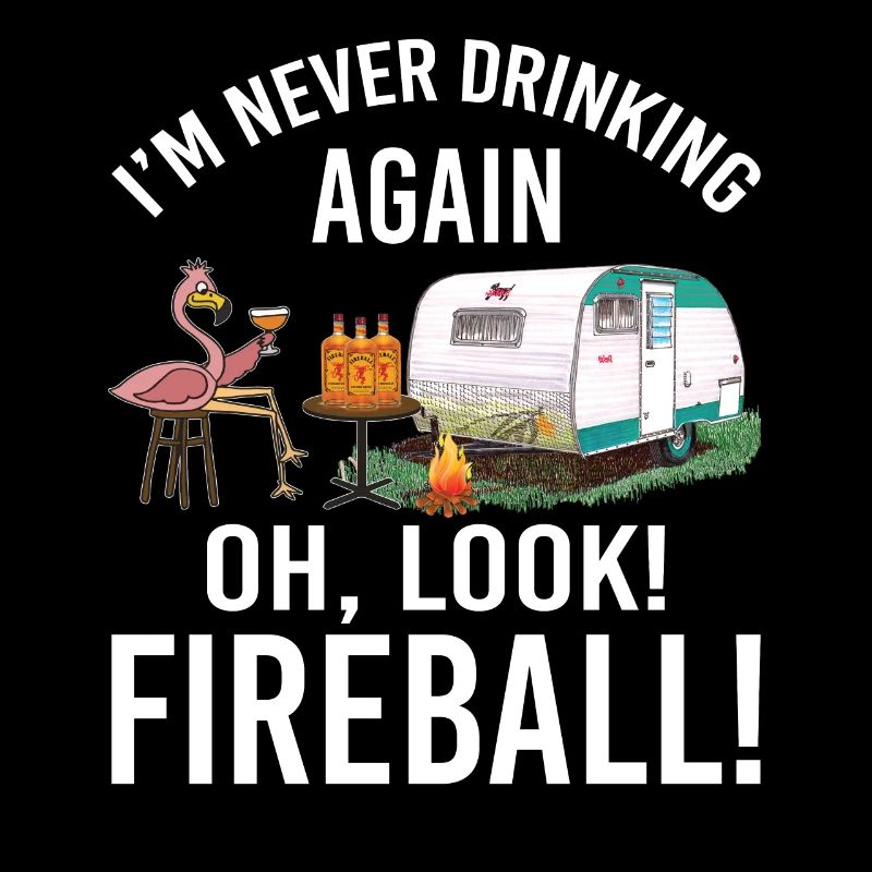 I'm Never Drinking Again Oh Look Fireball Funny