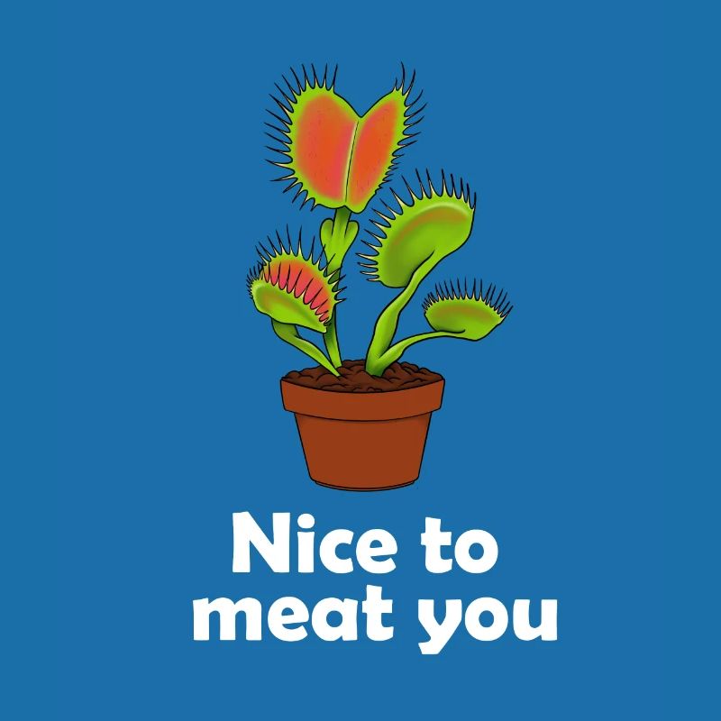 Venus flytrap plante carnivore cadeau